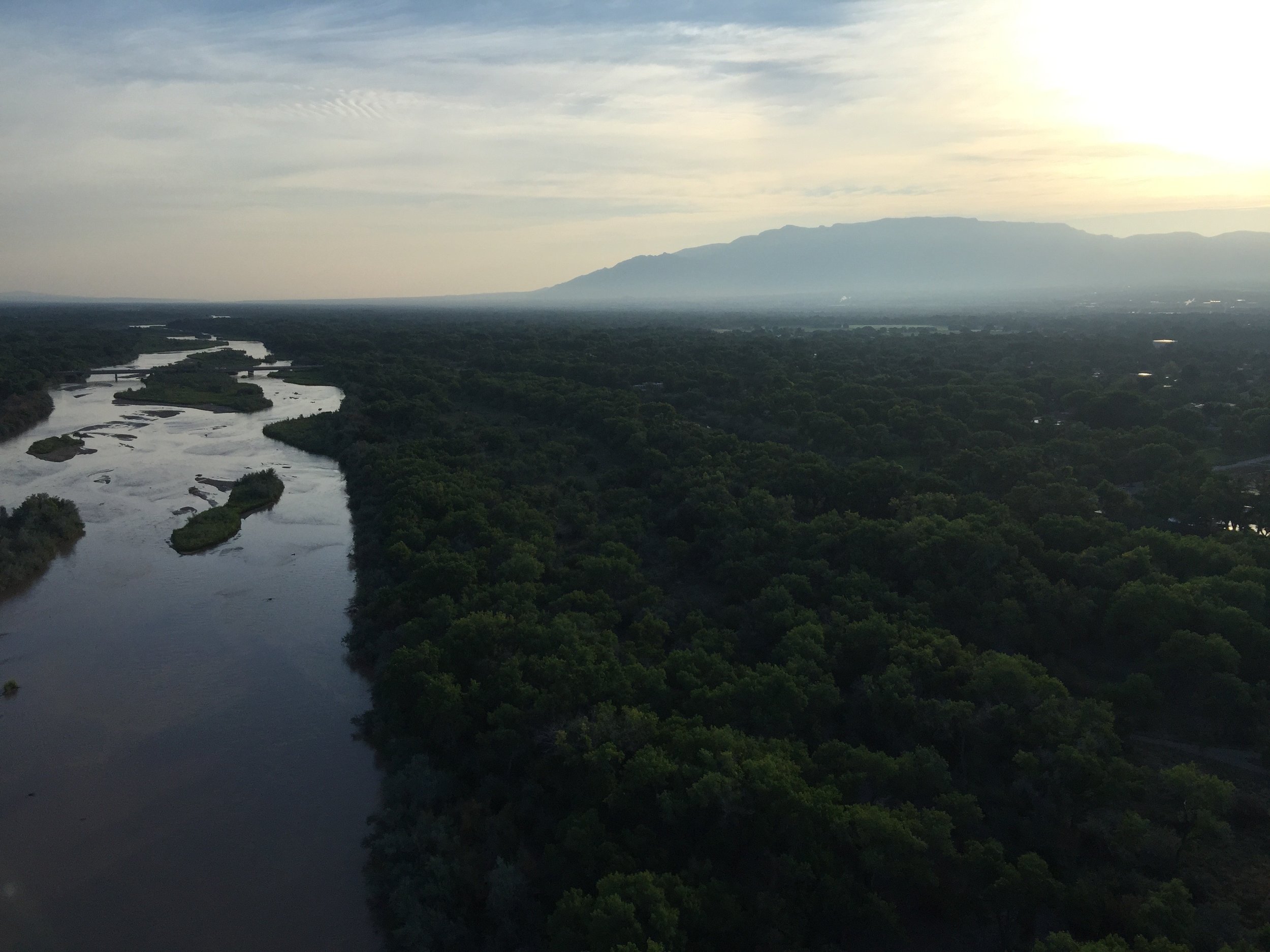 Rio Grande and the Bosque in the Spring
