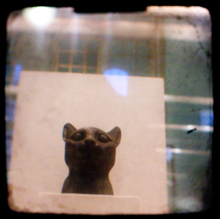 Egyptian Cat