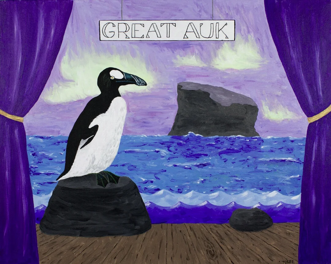 Extinct Animal #3: Great Auk