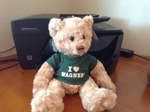 Spiro the bear.jpeg
