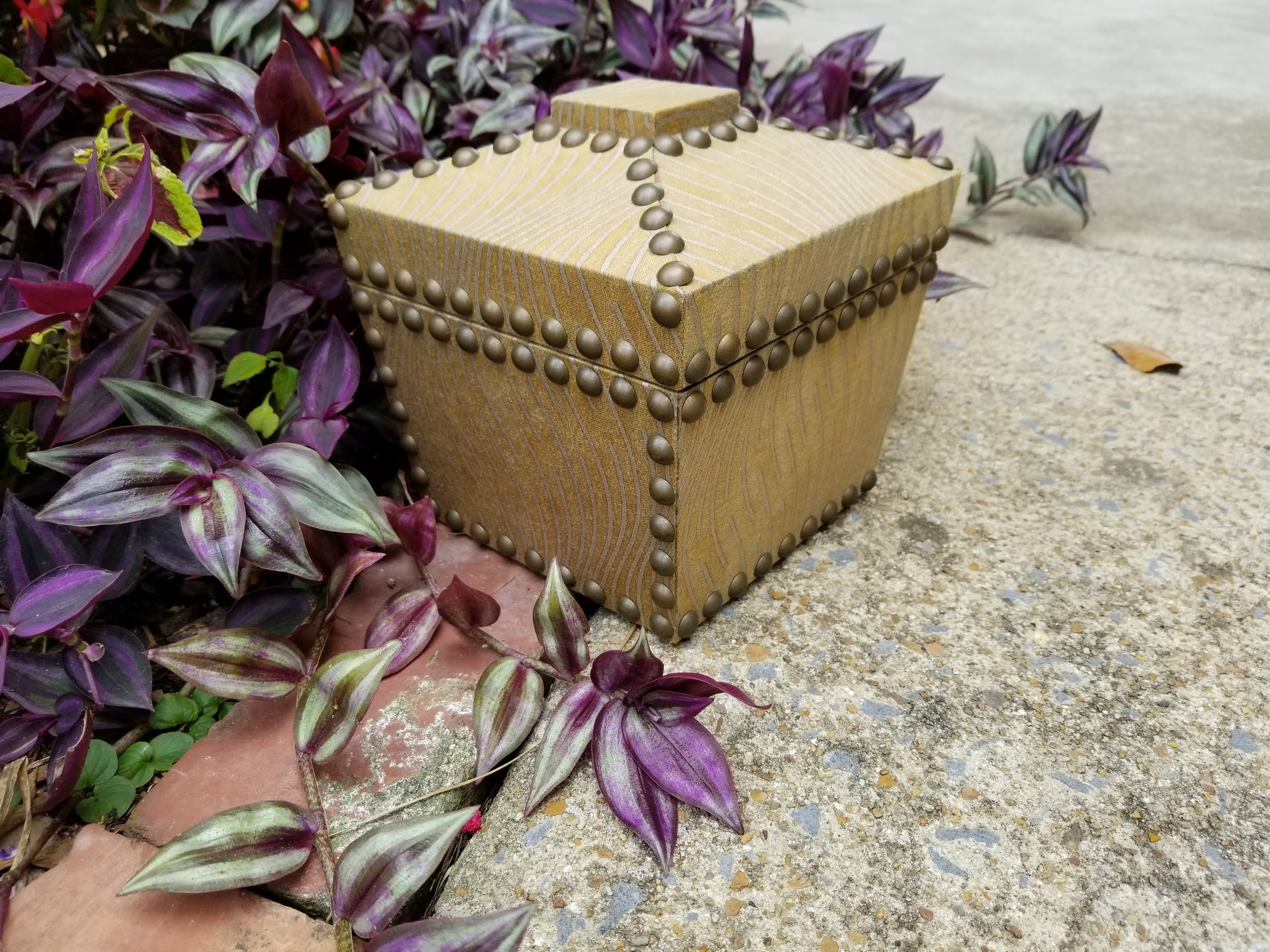 coconut box garden.jpg