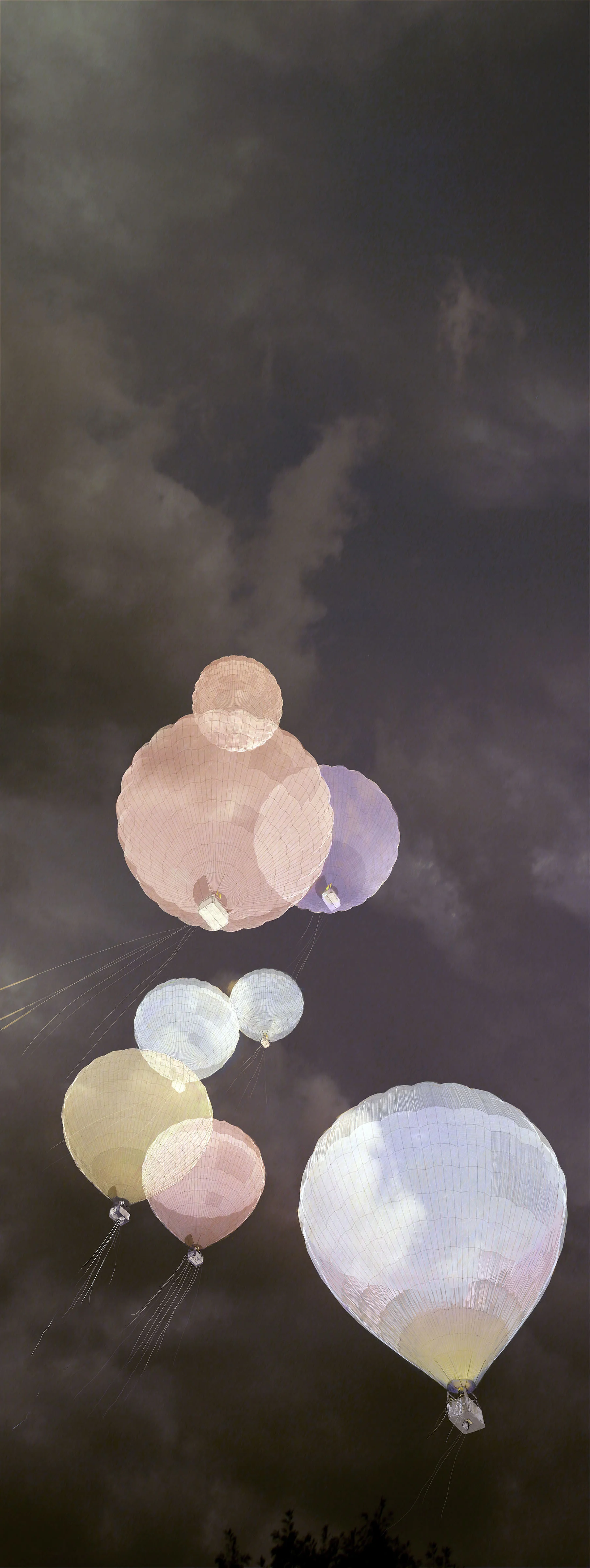 Ascent, 2010