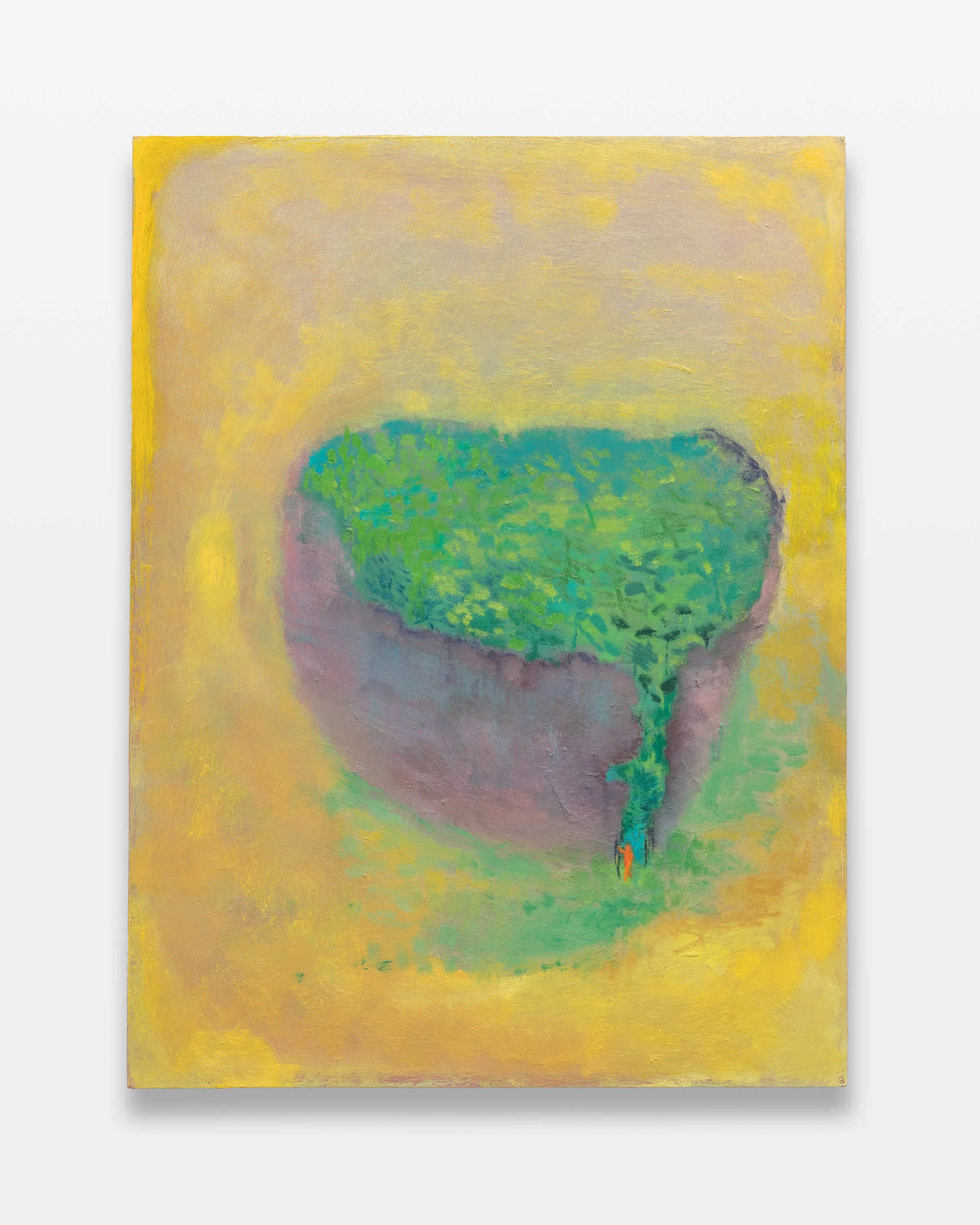 The Walled Garden, Cad Yellow (Copy)