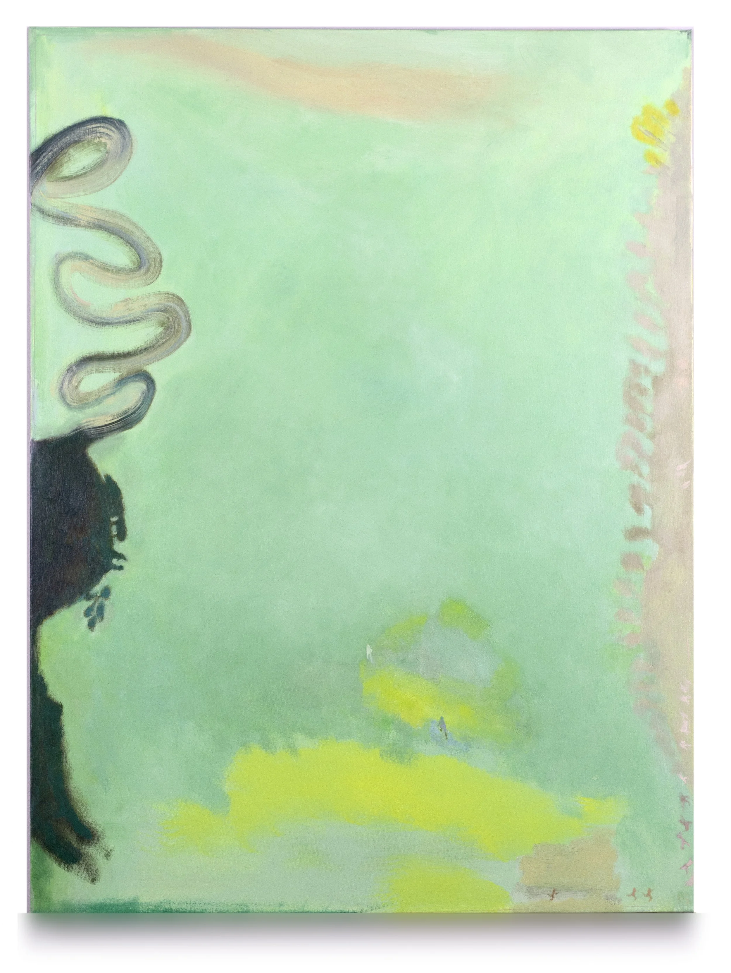 Stevens-Narcissus-in-Fog-48x36.jpg