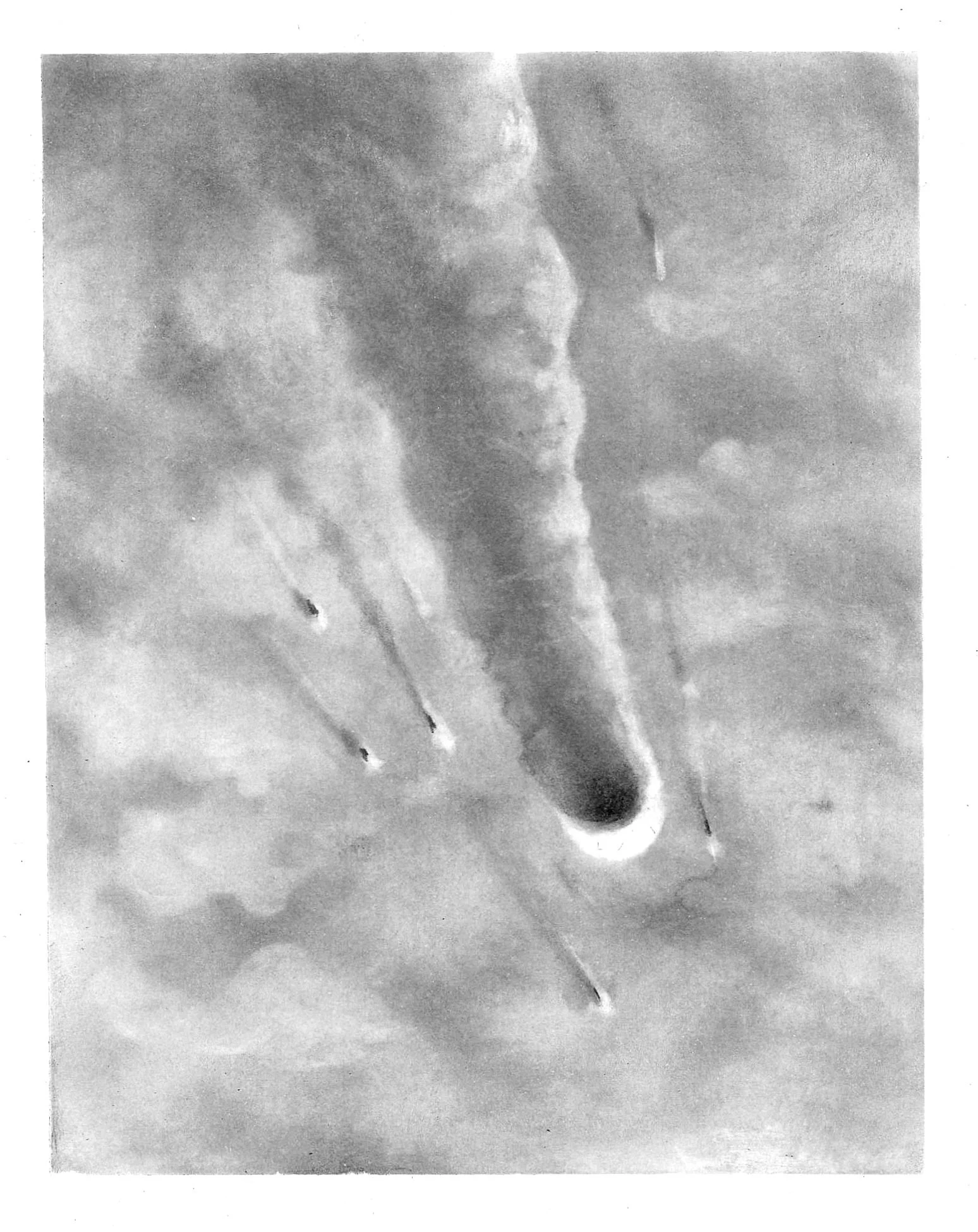Study for Apocalypse 