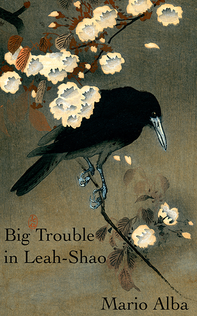 Big Trouble Cover- small.jpg