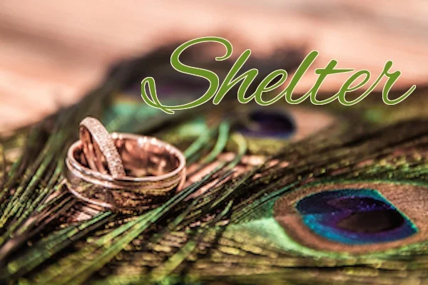 Shelter 