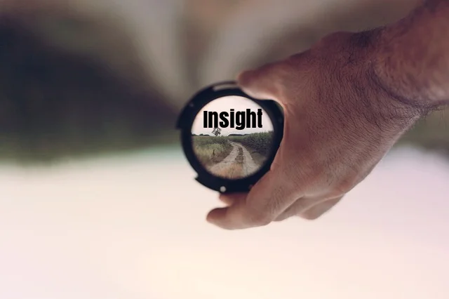 Insight