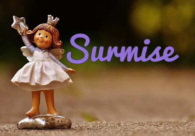 Surmise