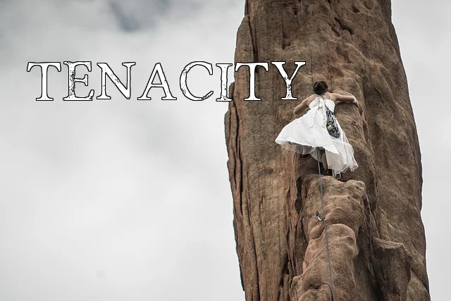 Tenacity 