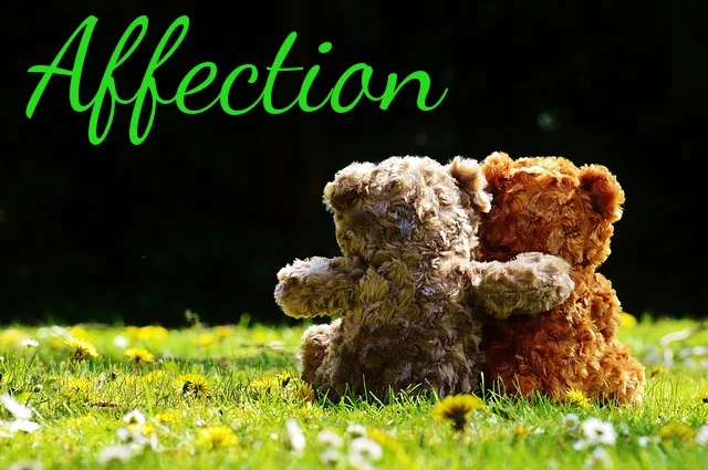 Affection