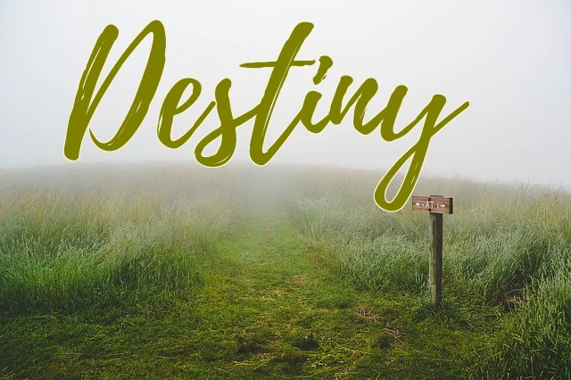 Destiny