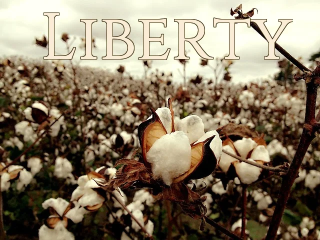 Liberty