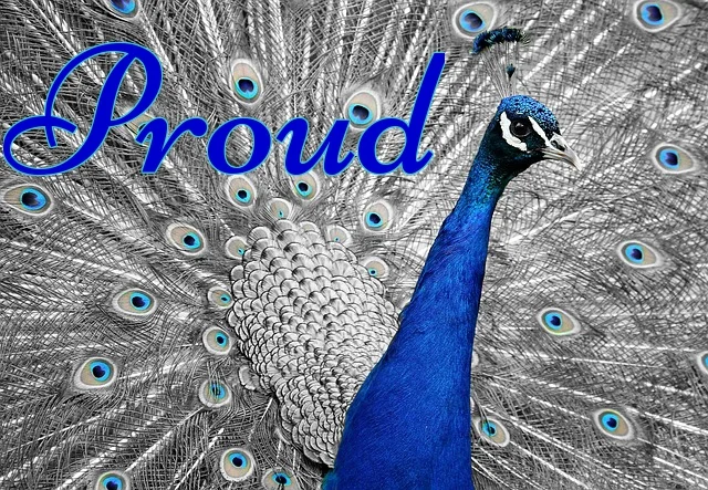 Proud