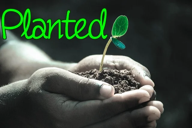 Planted