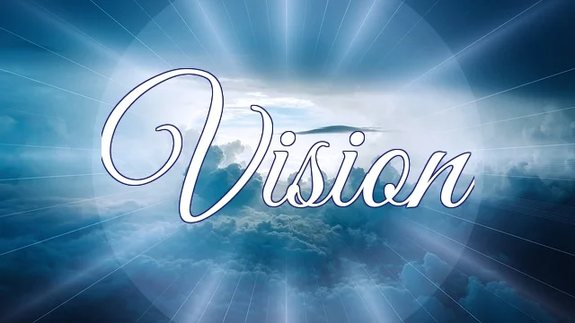 Vision