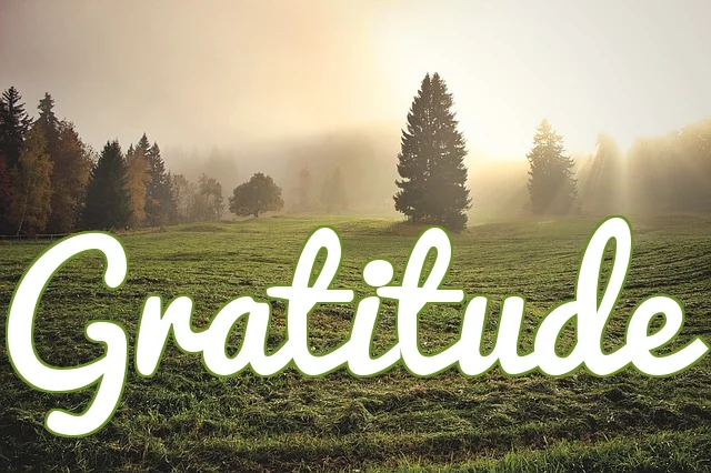 Gratitude
