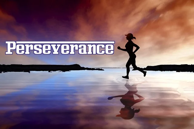 Perseverance