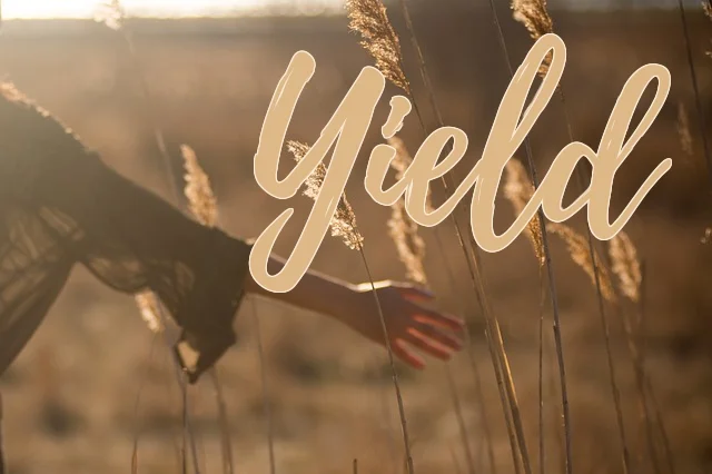 Yield