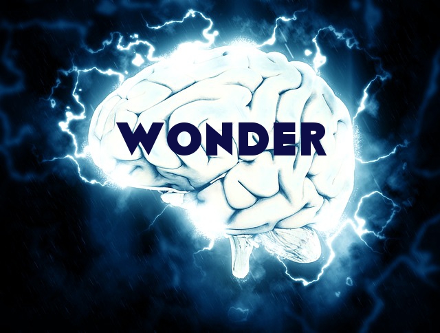 Wonder