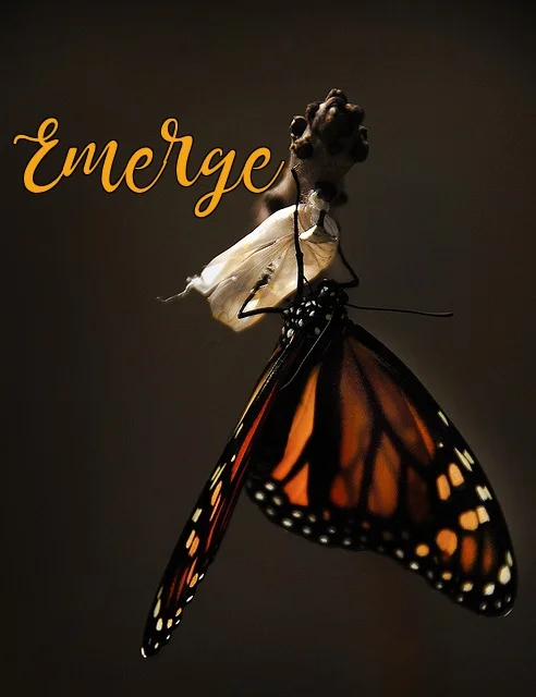 Emerge