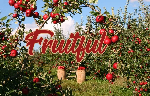 Fruitful