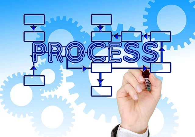Process
