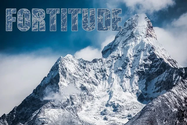 Fortitude