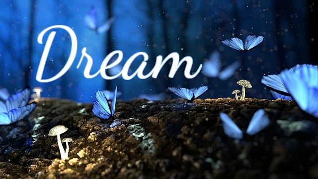 Dream