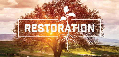 Restoration