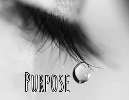 Purpose