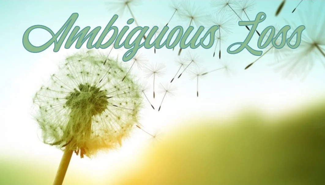 Ambiguous Loss
