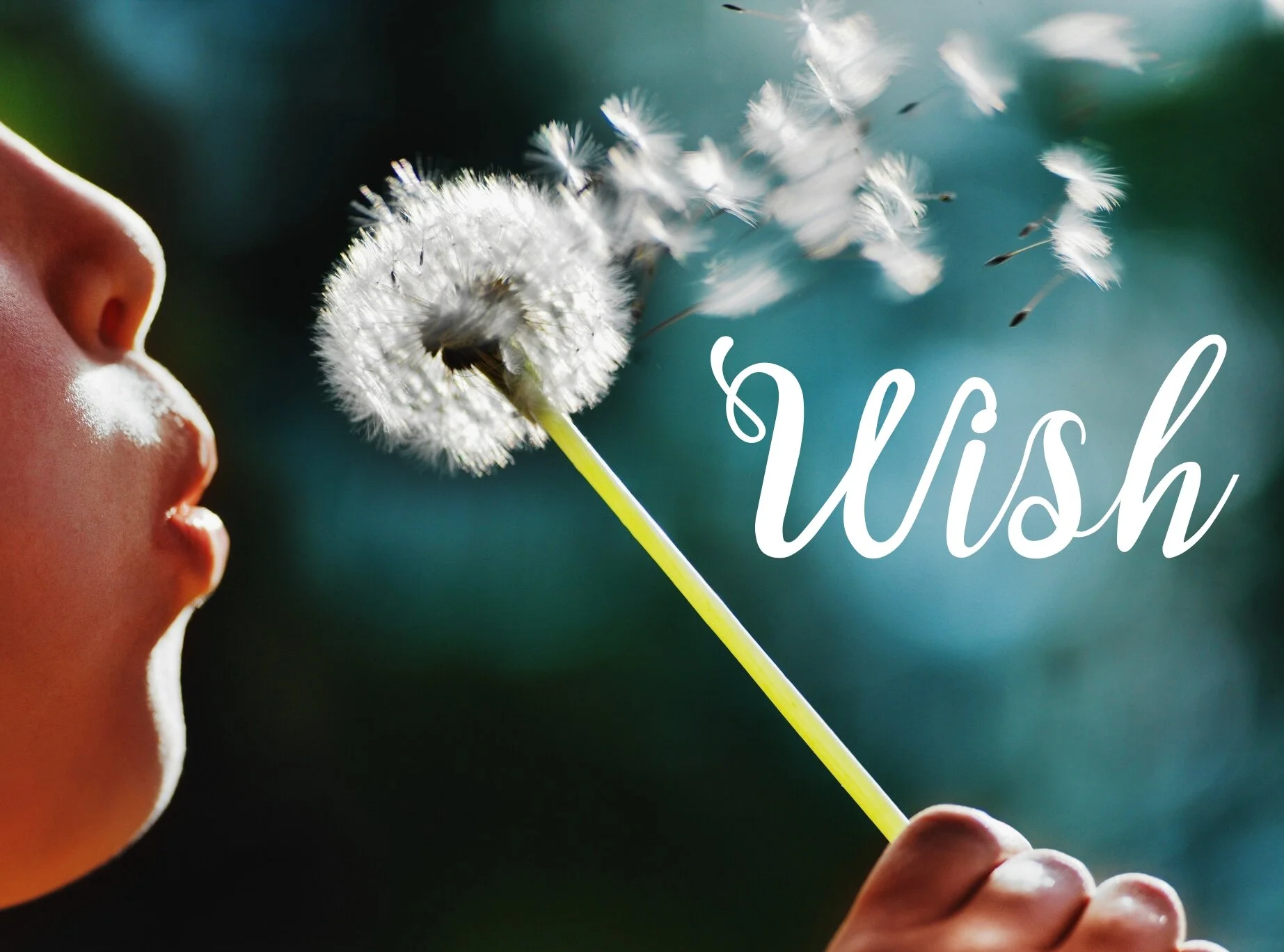 Wish