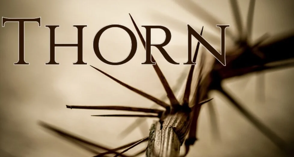 Thorn