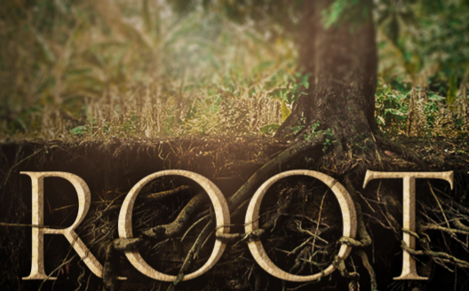 Root
