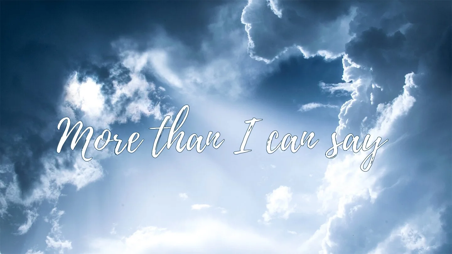More than I can say