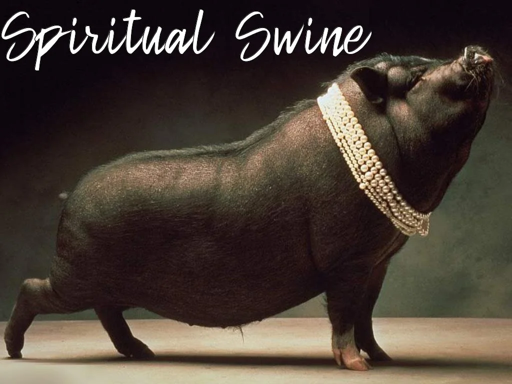 Spiritual Swine