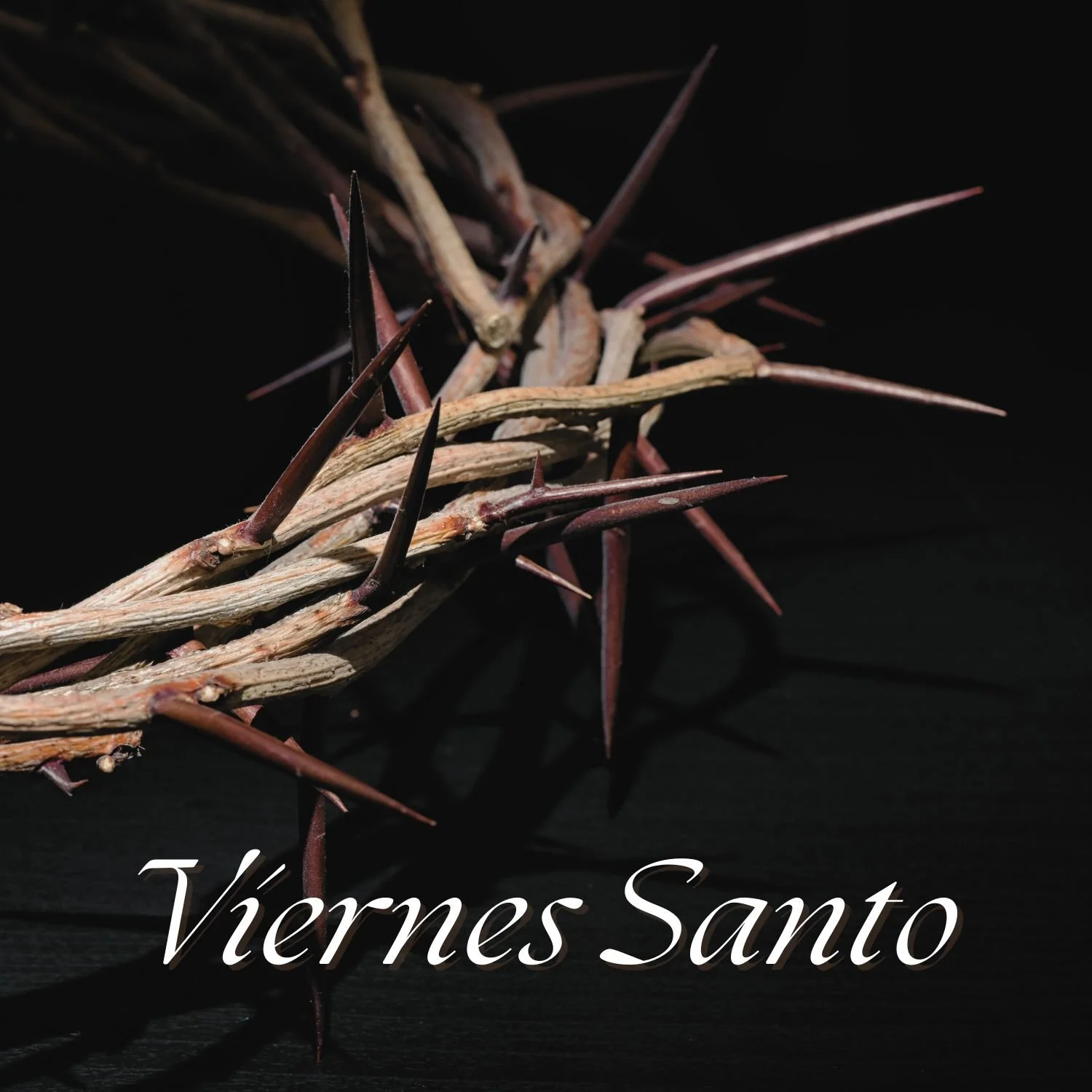 Servicio Domingo de Palmas