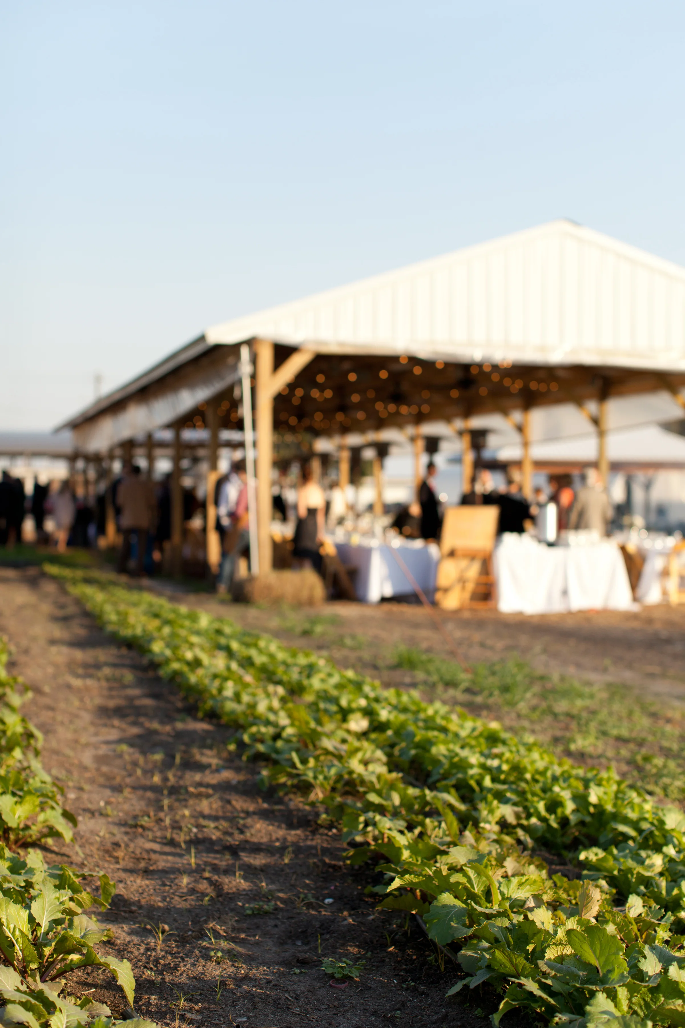city_roots_wedding_sc_78.jpg