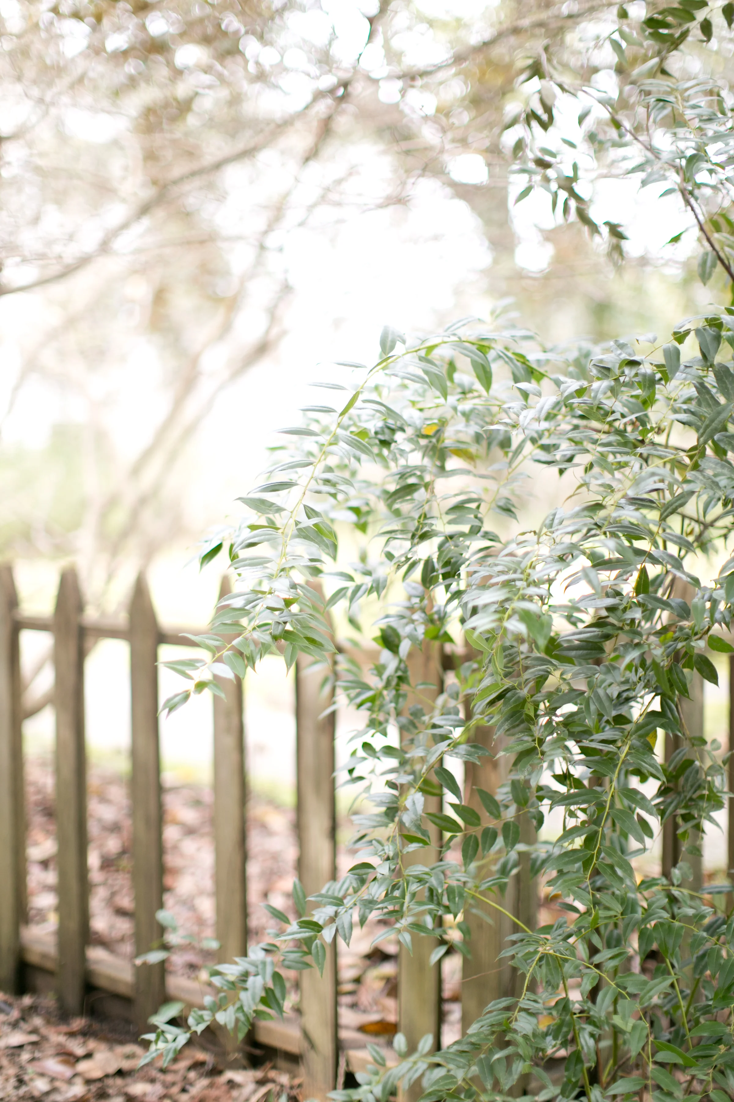 wavering_place_wedding01.jpg