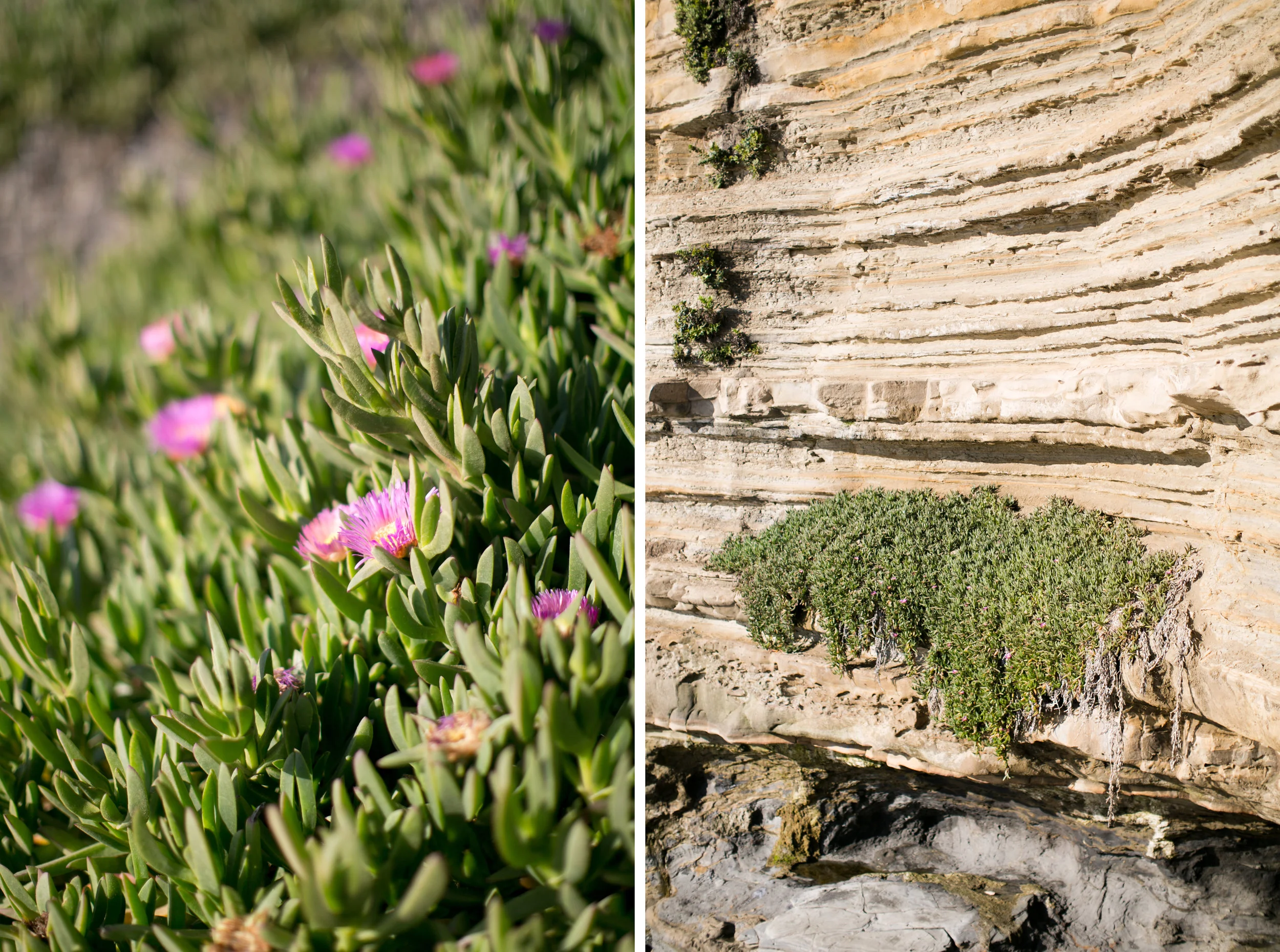 sunset_cliffs_photographer31.jpg
