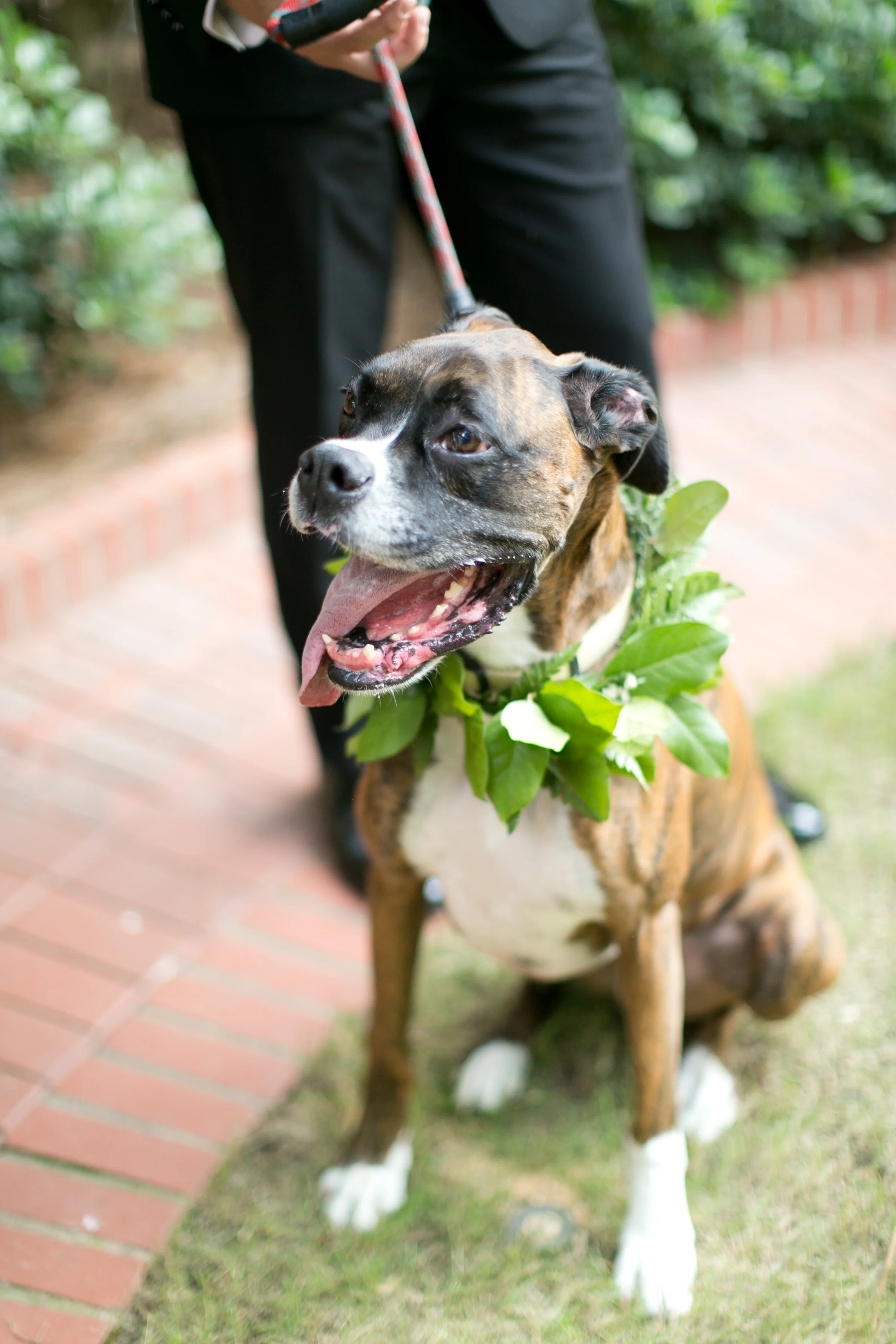 sc_wedding_photographer_451.jpg
