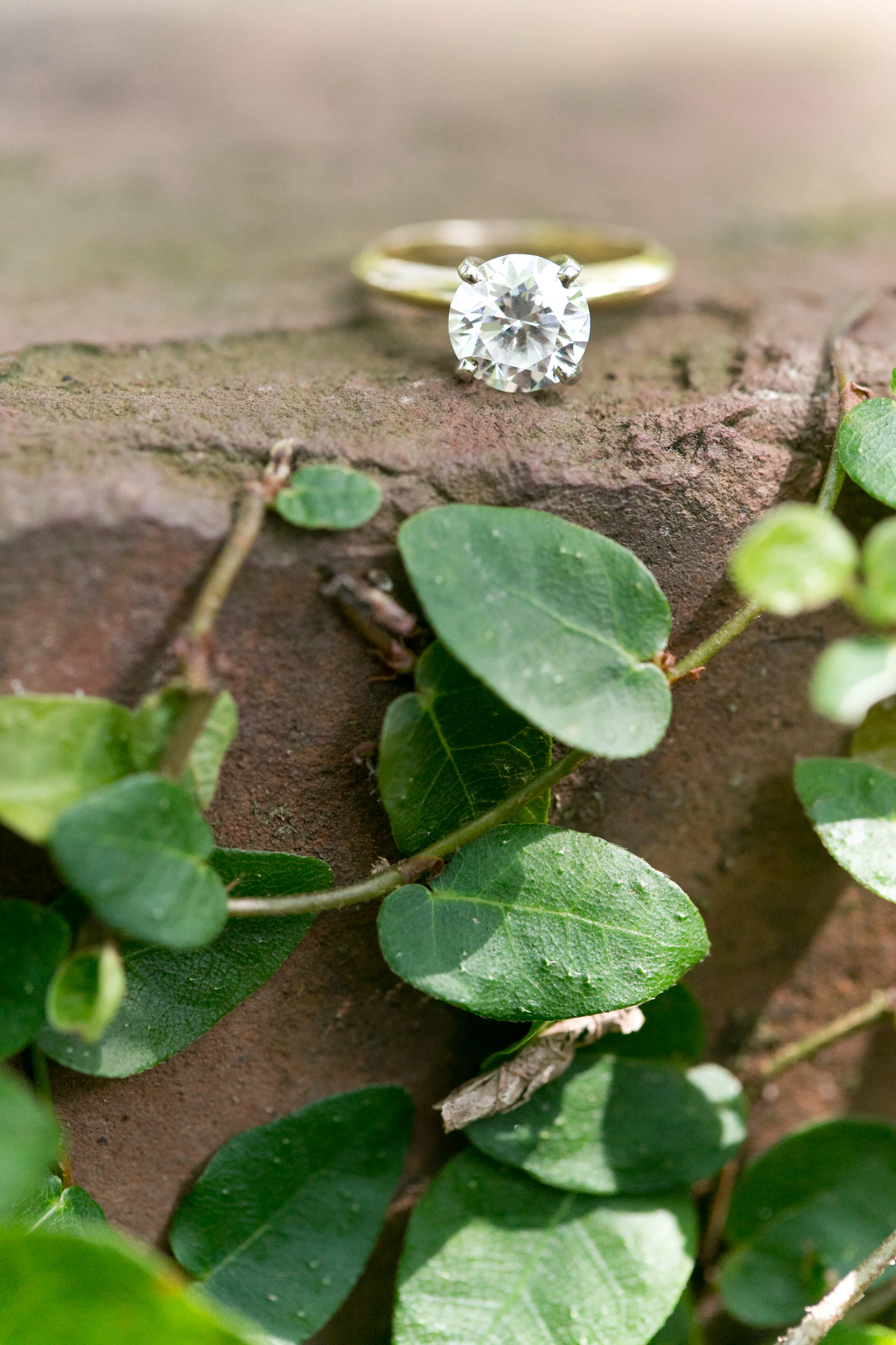 lace_house_wedding_51.jpg