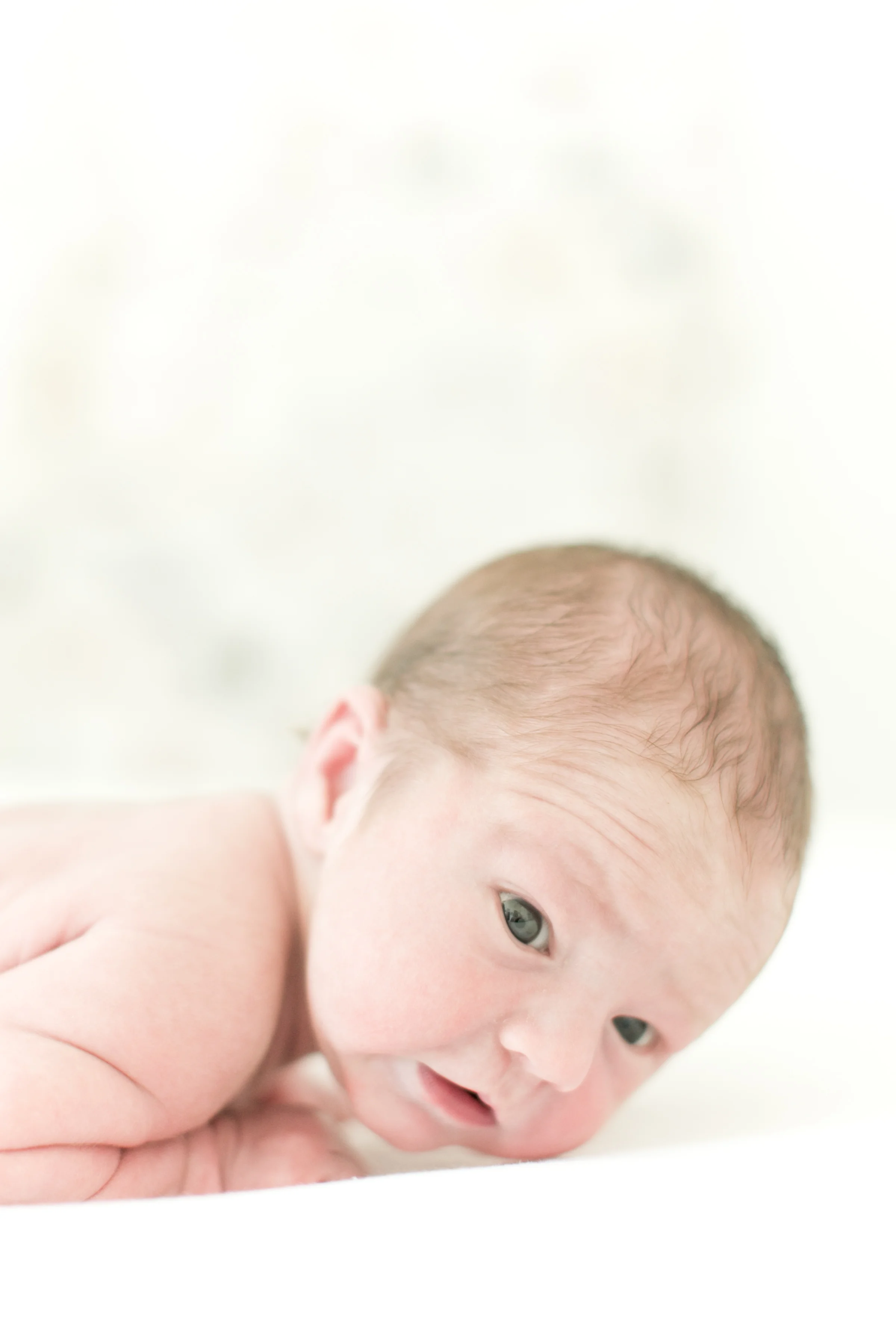 columbia_sc_newborn_photographer10.jpg