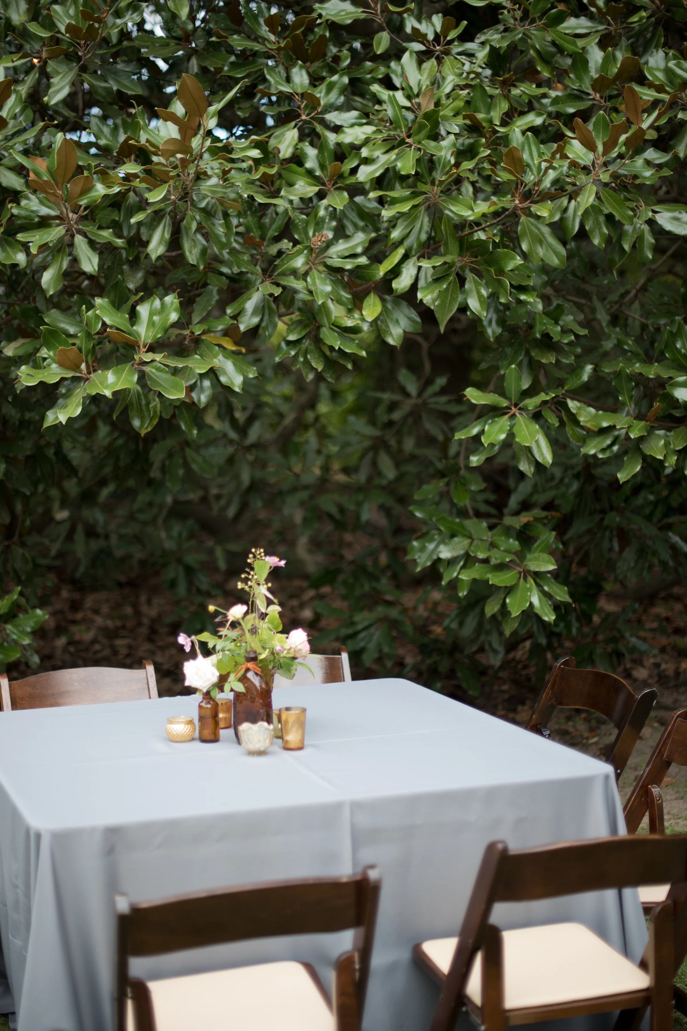 asheville_wedding_photographer82d.jpg