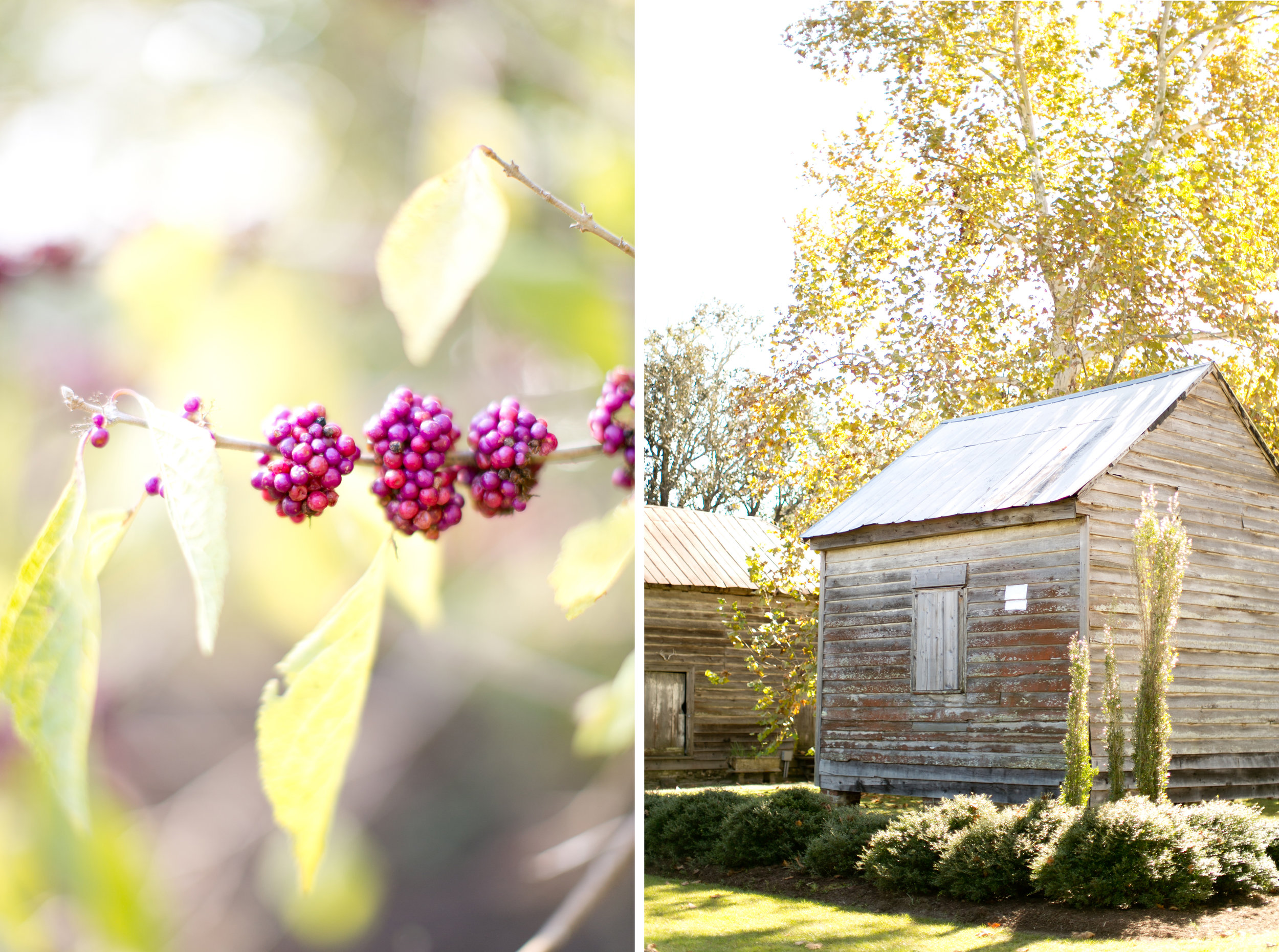 asheville_wedding_photographer503.jpg