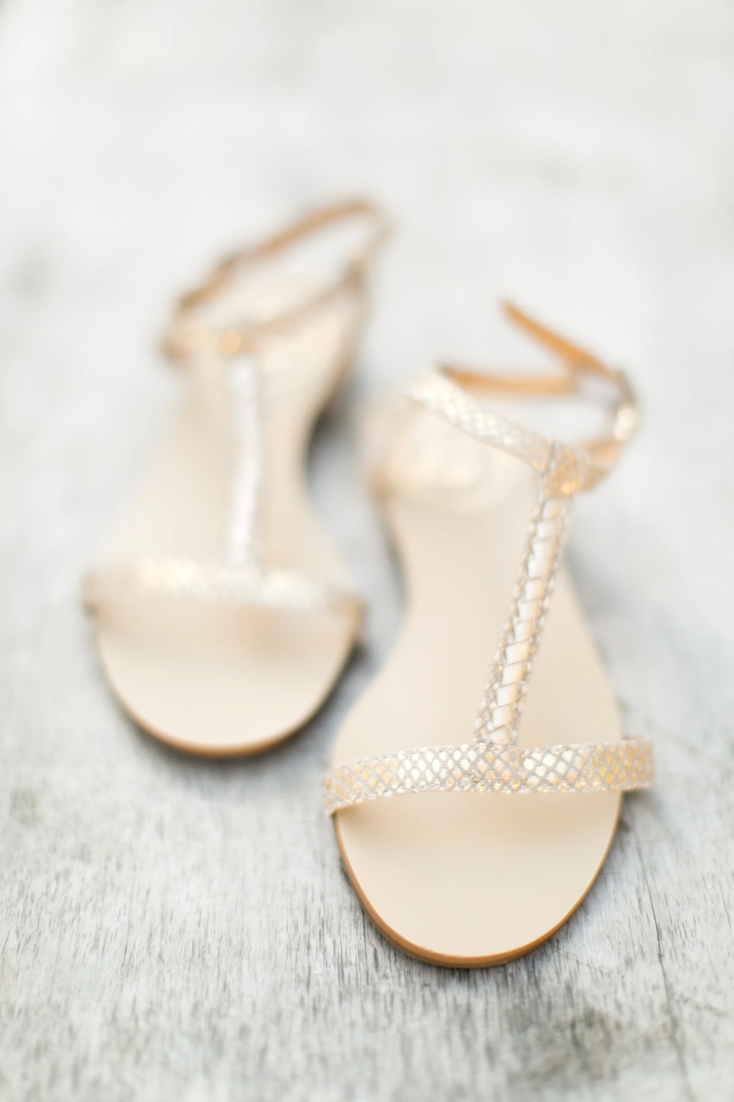 asheville_wedding_photographer507.jpg