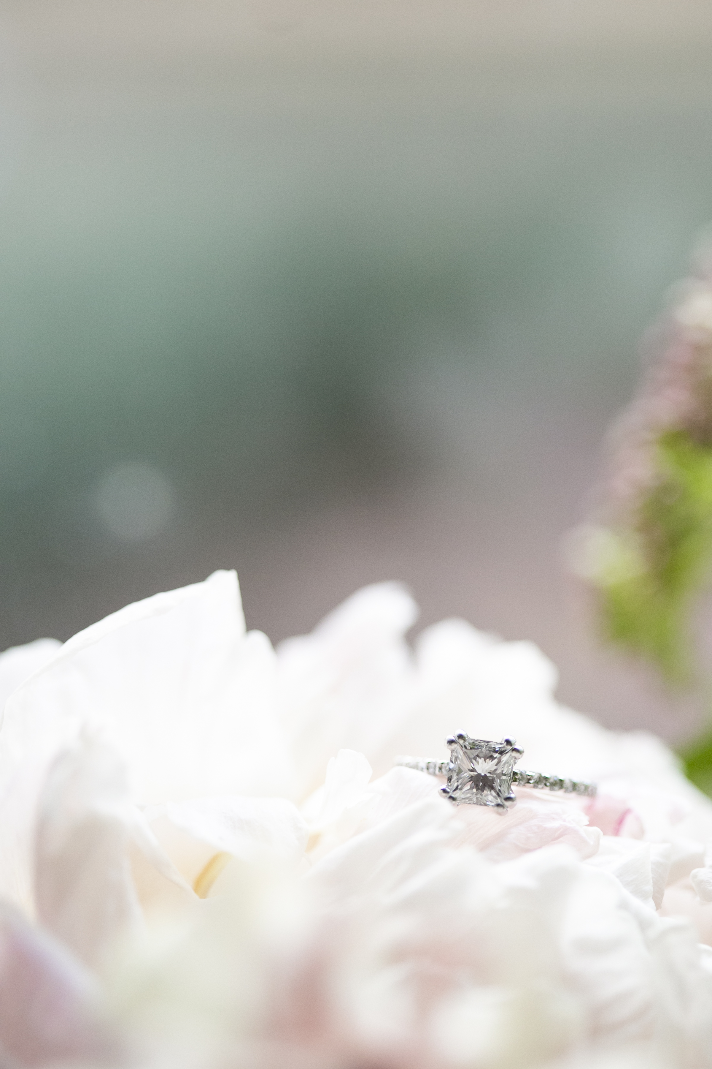 columbia_sc_wedding_photographer_13.jpg
