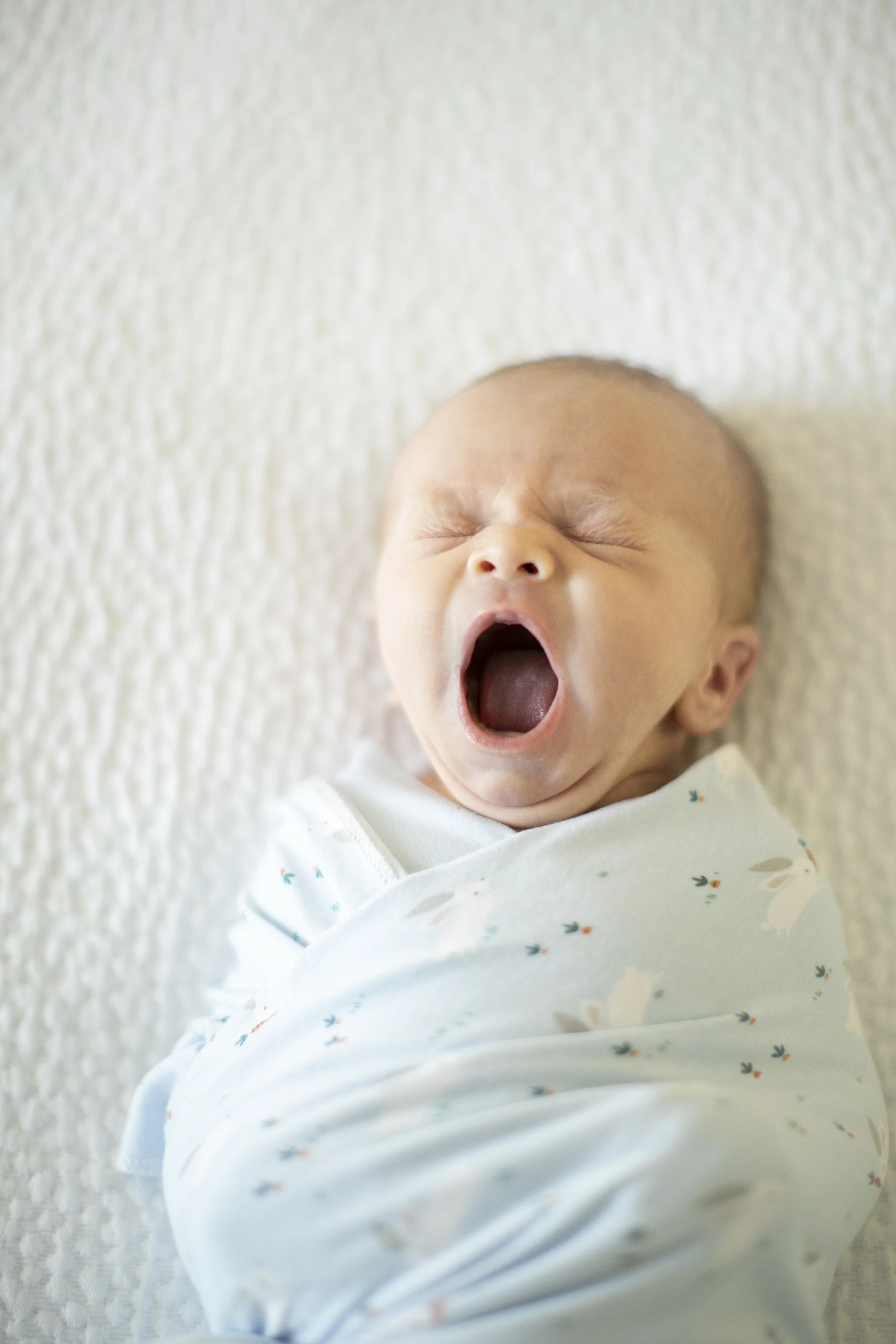 columbia_newborn_photographer_03.jpg