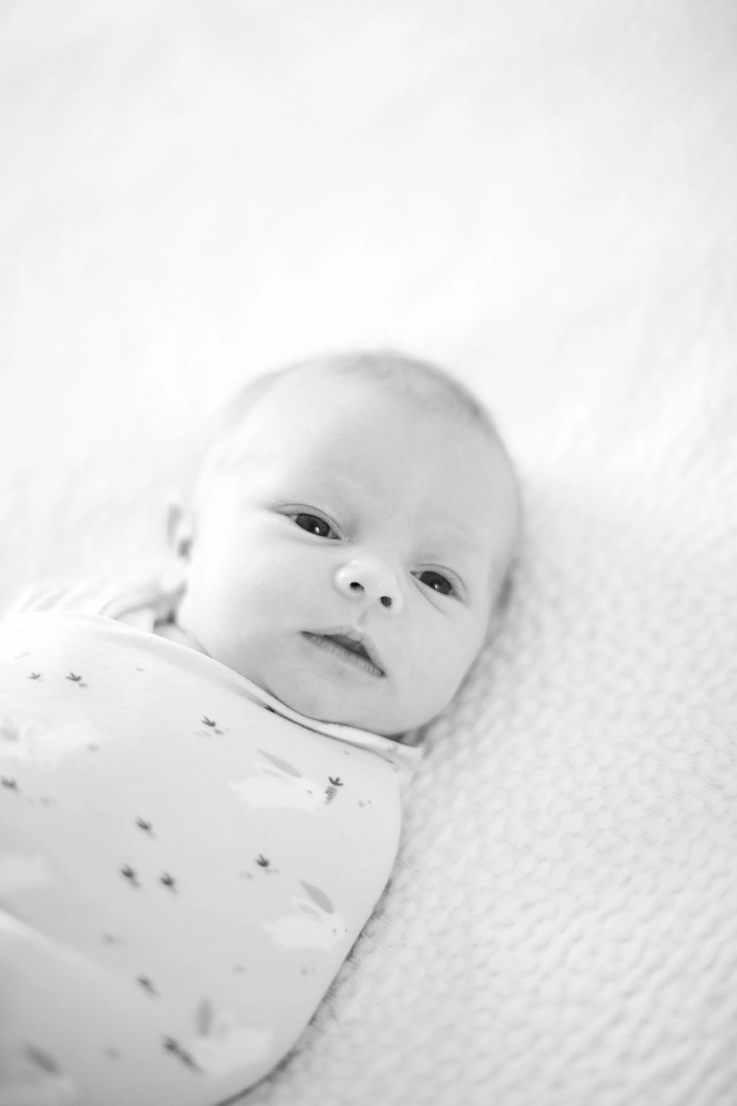 columbia_newborn_photographer_04.jpg